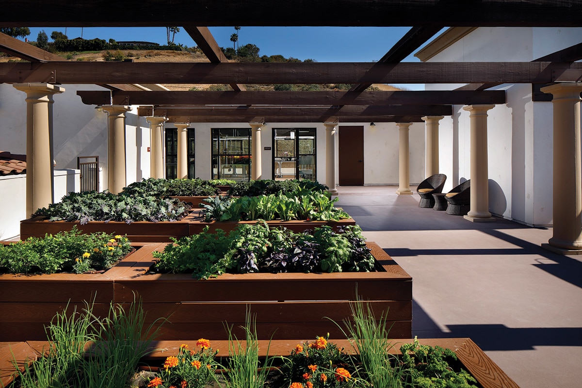 Rooftop garden at Crestavilla with raised planters full of herbs and flowers.