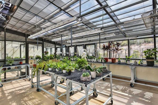 Crestavilla's greenhouse, with planting benches, supplies, and plants.