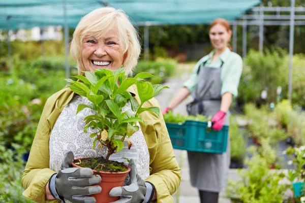 Happy older woman in gardening attire holding up a plant and smiling.