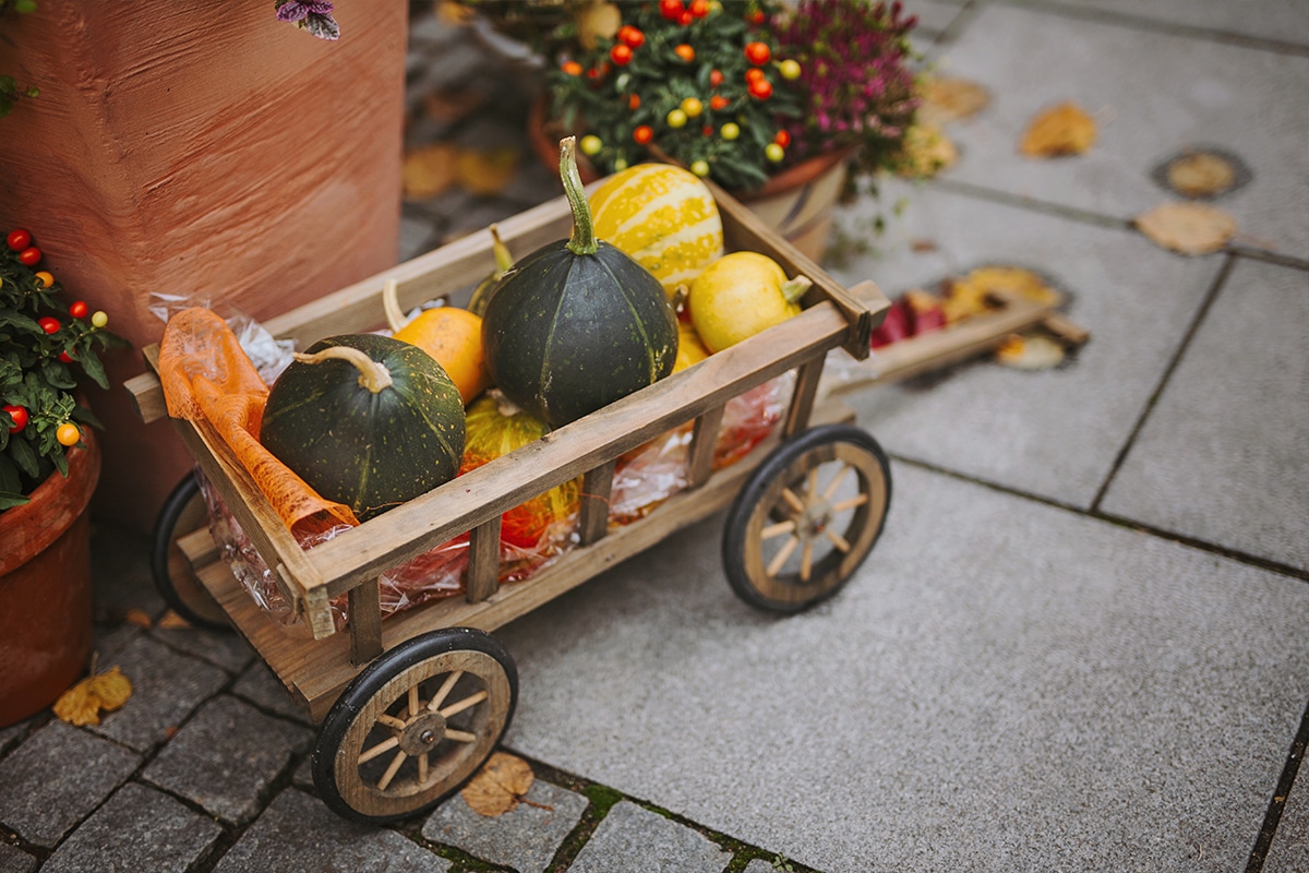 Pumpkins in a wheeled cart